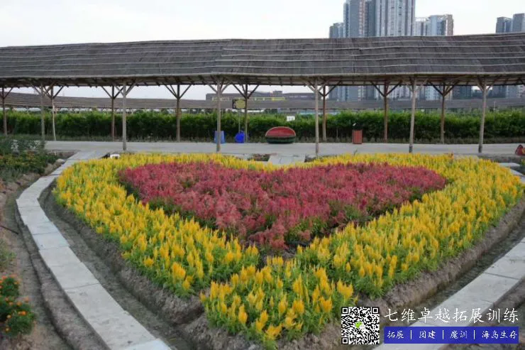 篮球教练队长训练计划书范文怎么写_1
